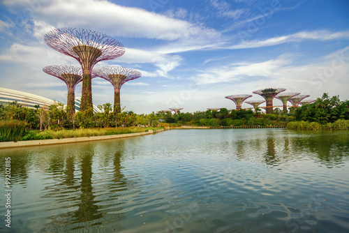 Supertree at Gardens by the Bay