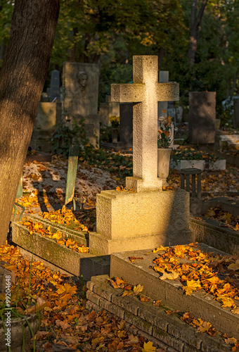 Fotografie Cemetery in autumn