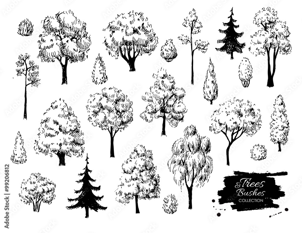 Fototapeta premium Duży zbiór szkiców ręcznie rysowane drzewa.