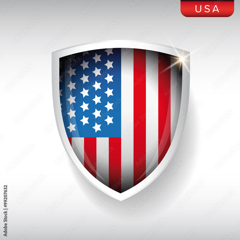USA flag shield vector USA flag shield vector