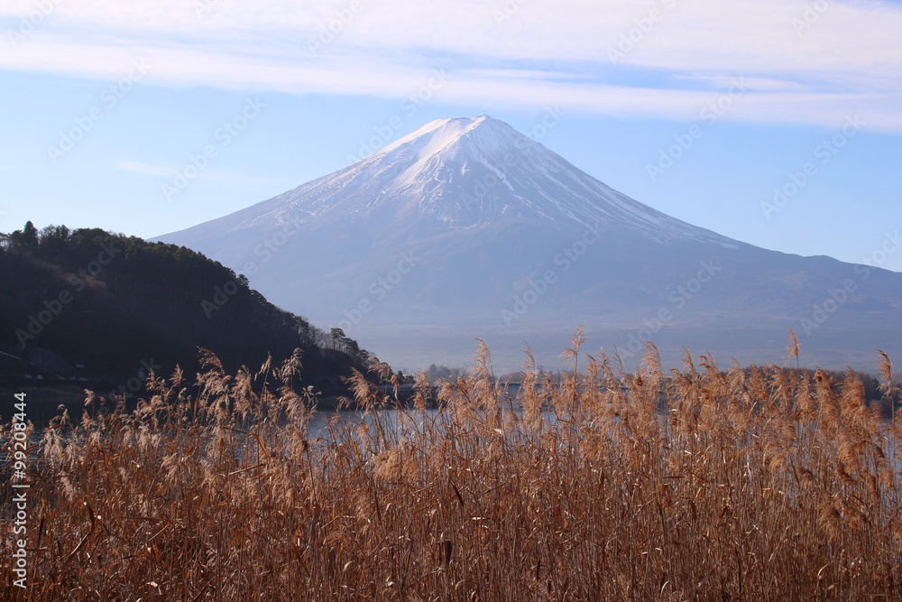 Obraz premium 河口湖から見た富士山