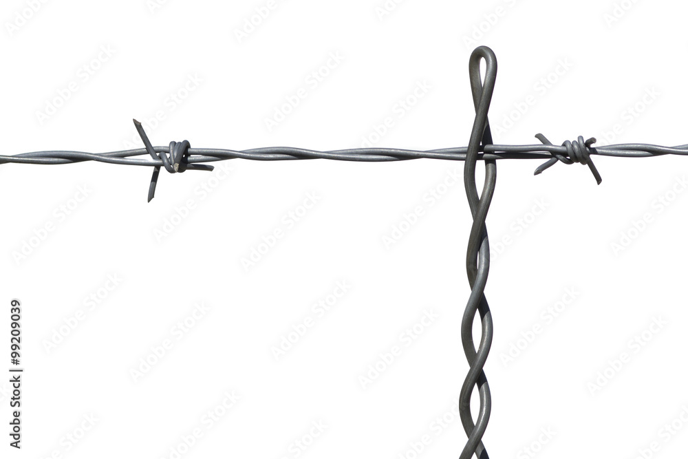 Obraz premium Barbed Wire Isolated on White