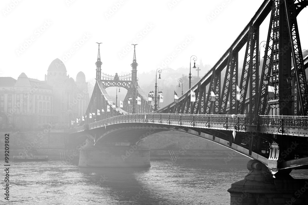 Bridge in the fog. Budapest, Hungary.
