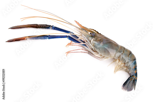 Fresh shrimp, Giant freshwater prawn on white