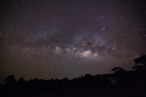 Silhouette of Tree with cloud and Milky Way at Phu Hin Rong Kla