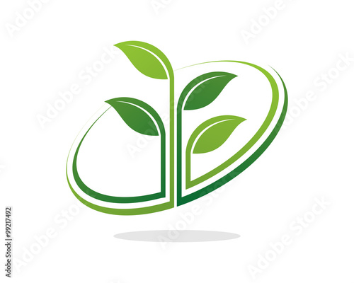 Plant Circle Leaf