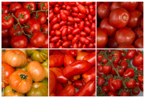 Collage of different kind of tomato © pink candy