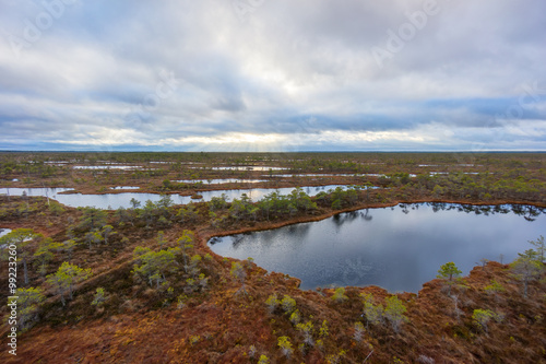 Kemeri swamp landscape