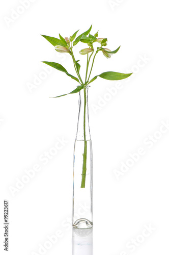 lilies in glass vase