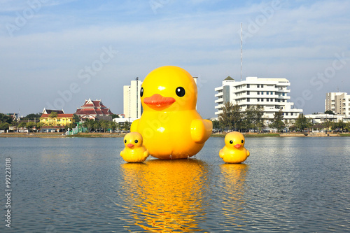 The yellow ducks is the mos...