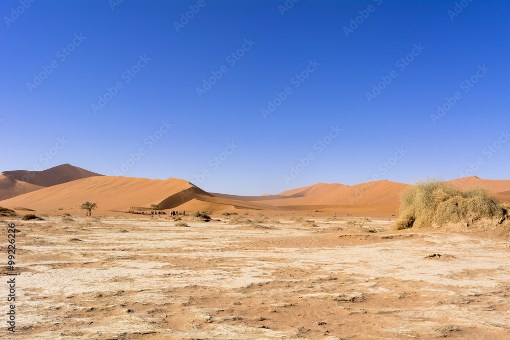 ナミブ砂漠のデューン45