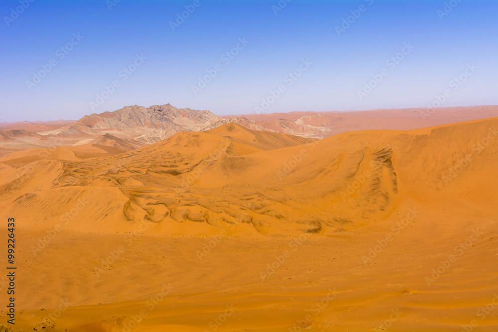 Naklejka premium ナミブ砂漠