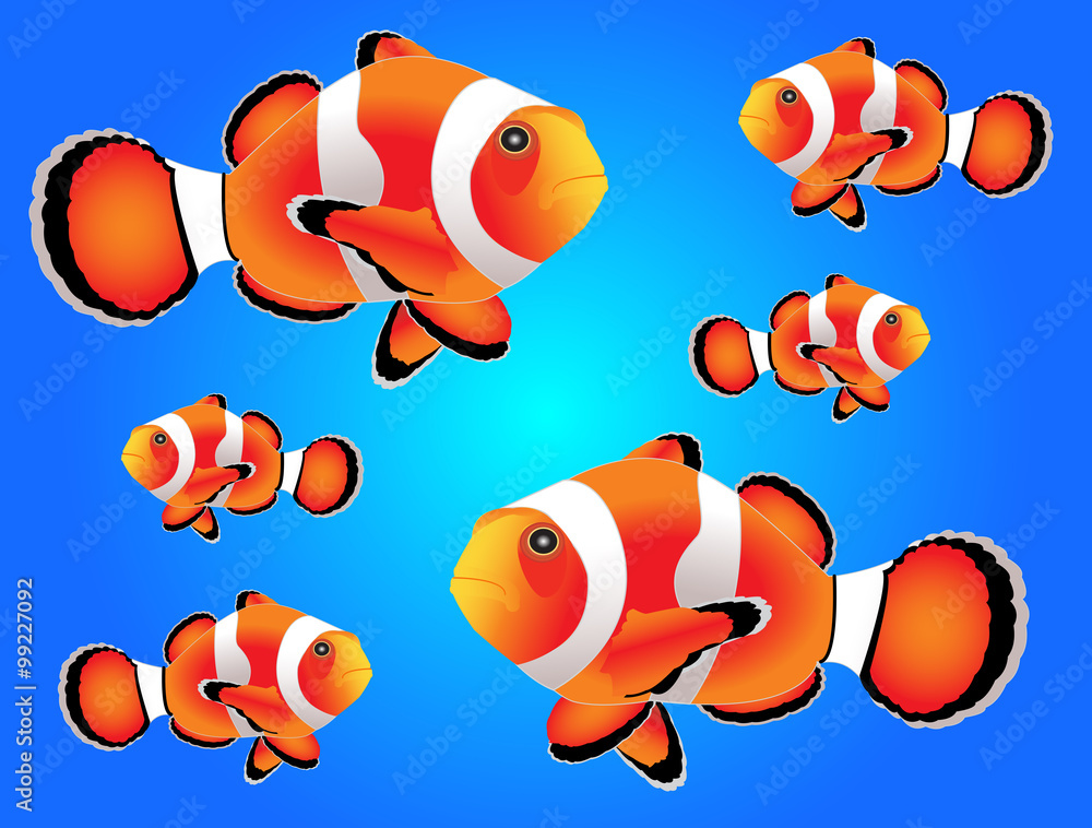 Naklejka premium Clownfish with white background