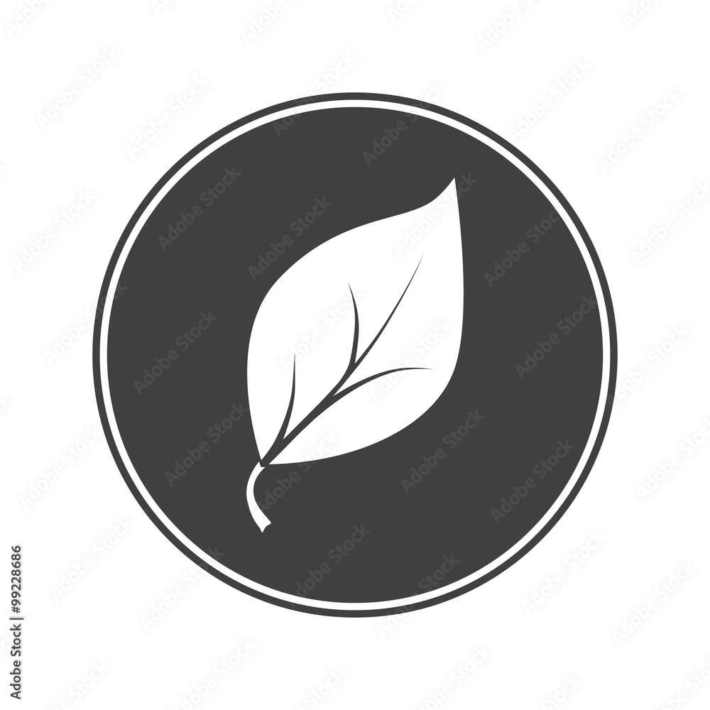 Leaf icon Leaf icon
