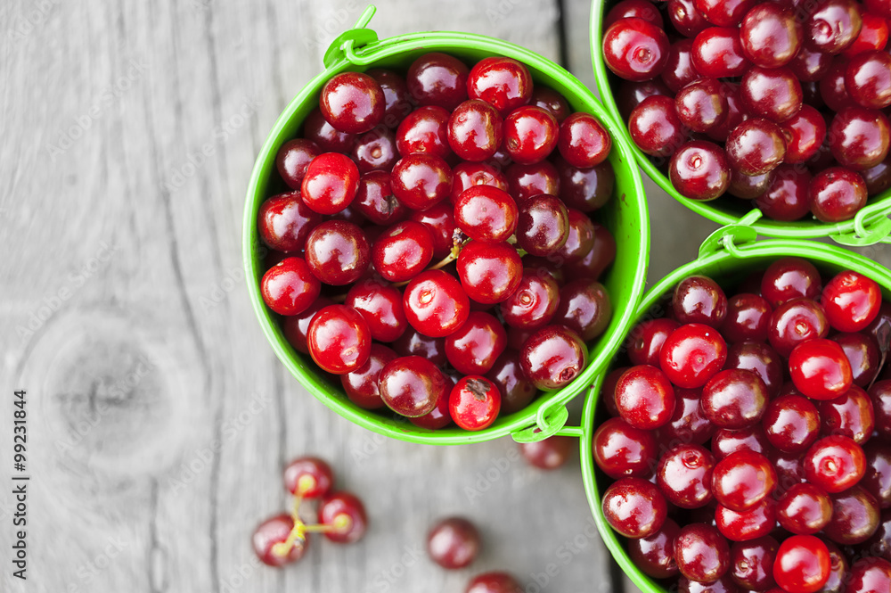 ripe juicy cherries ripe juicy cherries