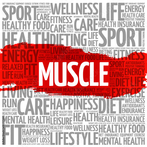 Muscle word cloud background, health concept