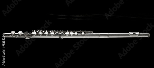 Fotografie, Tablou silver trasverse flute