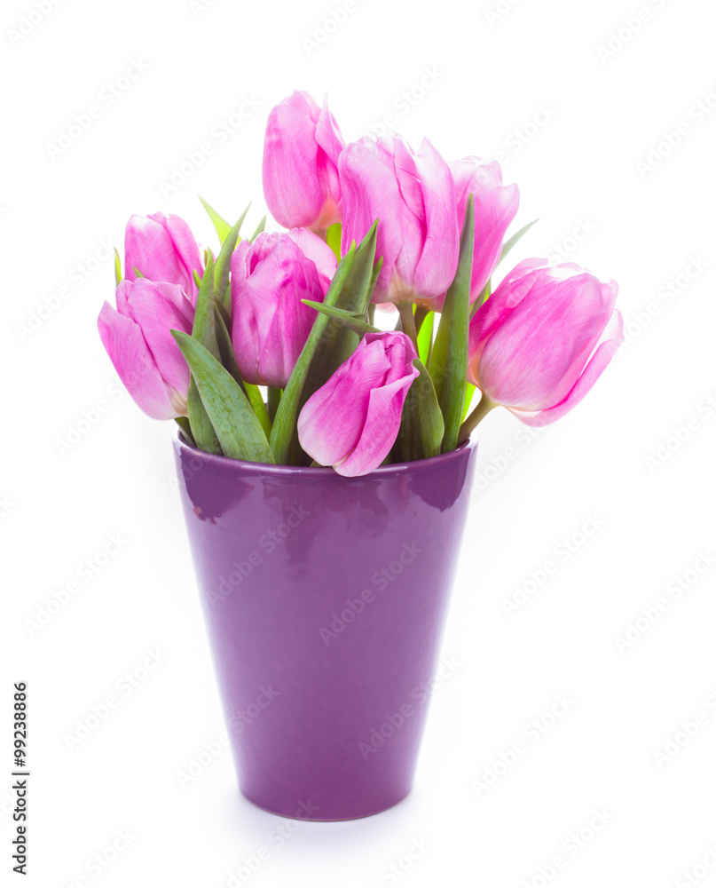 Tulips and eggs isolated Tulips and eggs isolated
