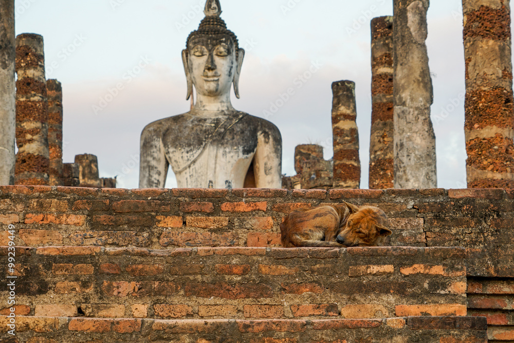 Fototapeta premium Buddha Buddhist temple ruins in Sukhothai historical park Wat Mahathat.