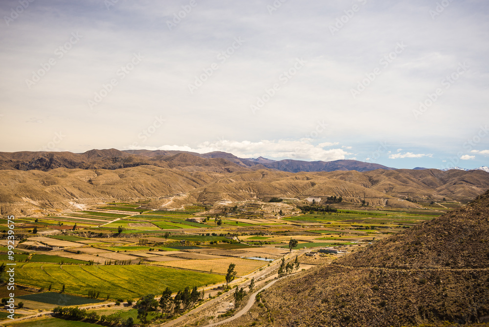 Naklejka premium High altitude Andean landscape with scenic sky