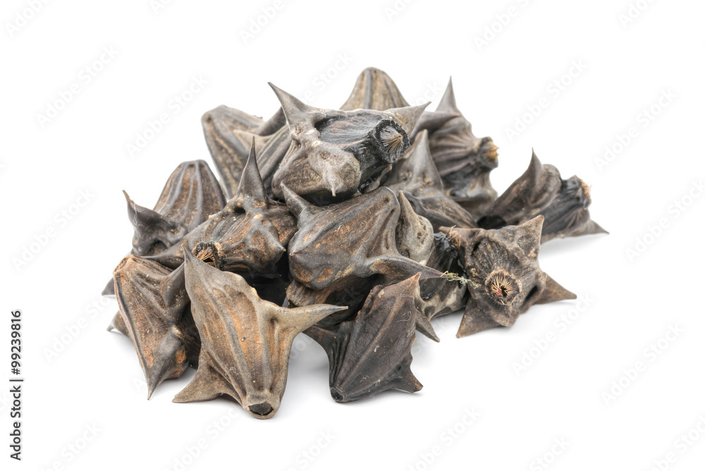 Trapa Natans Also Called Water Chestnuts