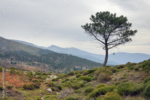 Sierra de Gredos. Avila © ABUELO RAMIRO