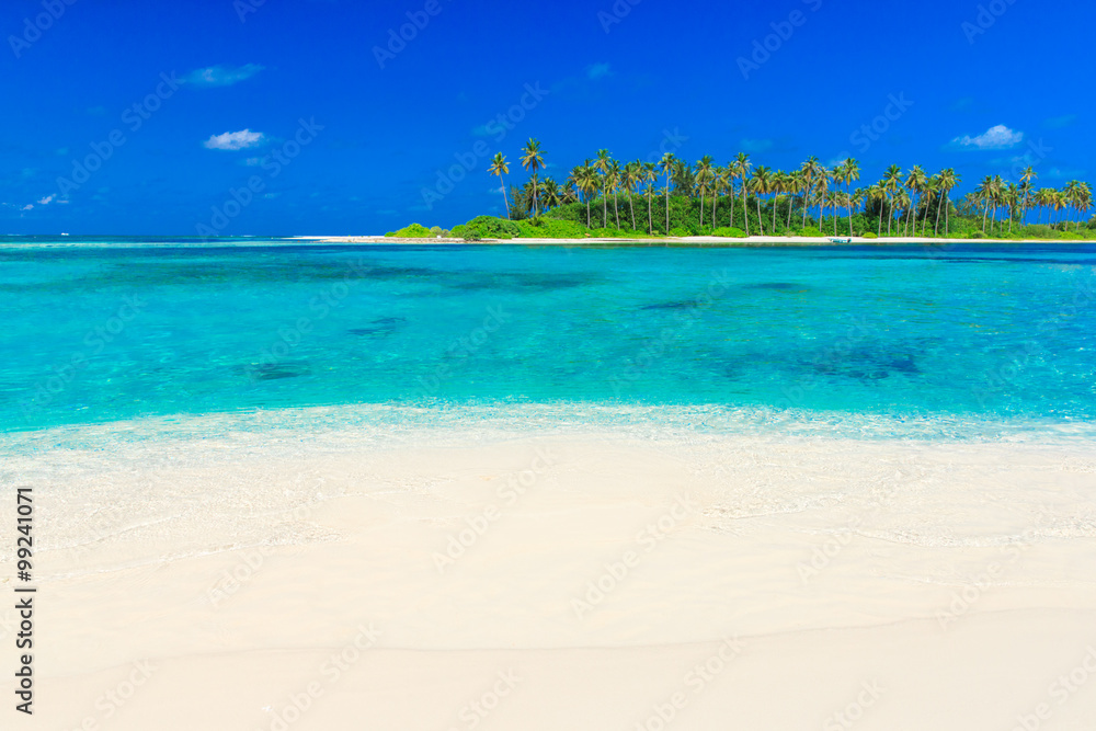Fototapeta premium tropical beach in Maldives