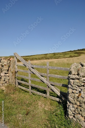 Wooden gate in field