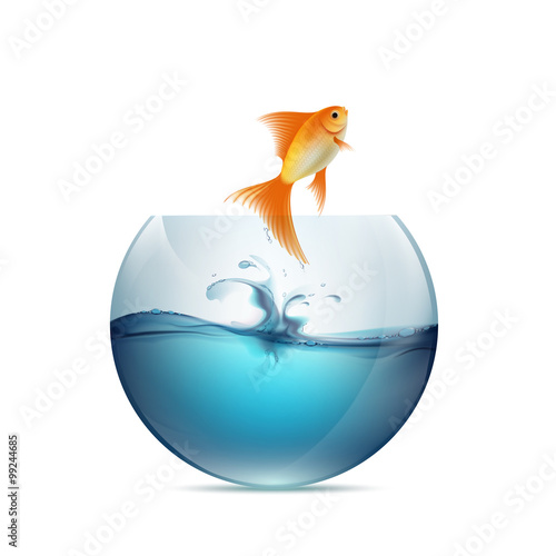 Goldfish jumping from the aquarium.