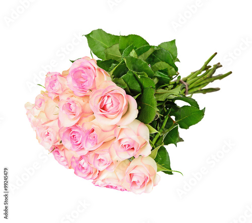 Pink roses