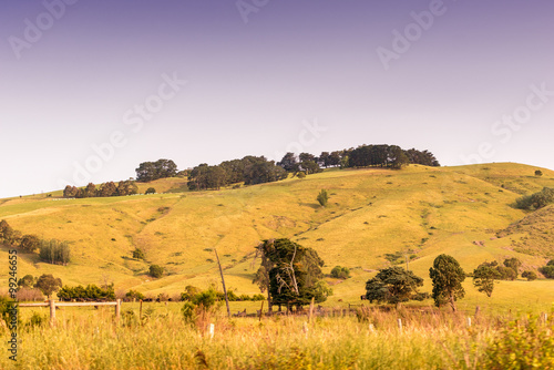 Countryside of Southern Victoria, Australia
