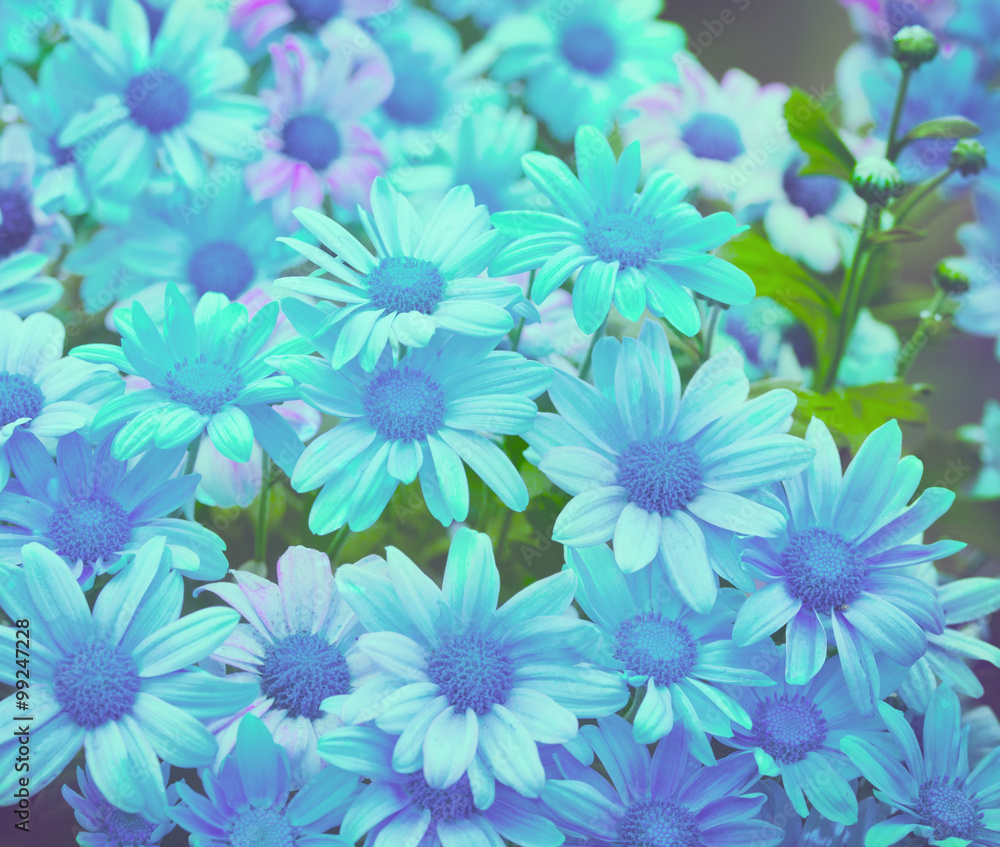 Fototapeta premium Blue vintage floral background