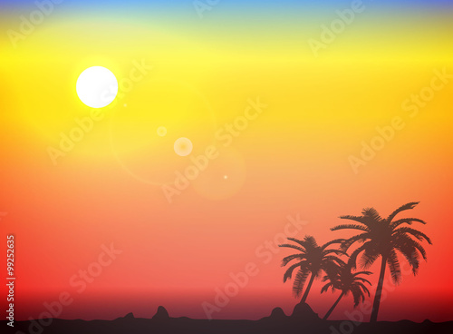 Fototapeta Naklejka Na Ścianę i Meble -  Palm silhouette background
