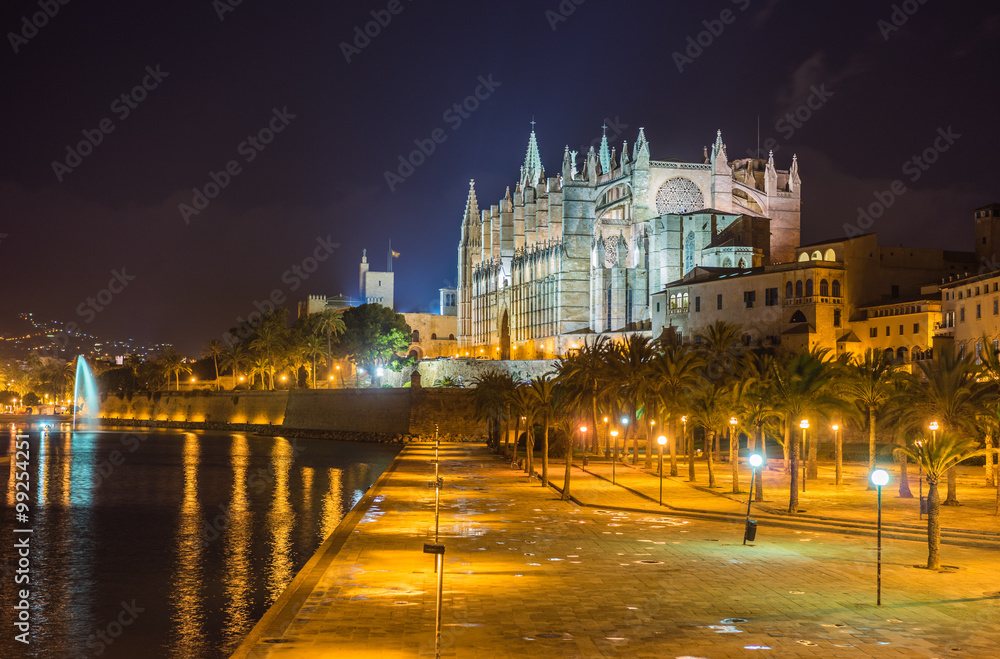 Cathedral La Seu and Parc del Mar by night