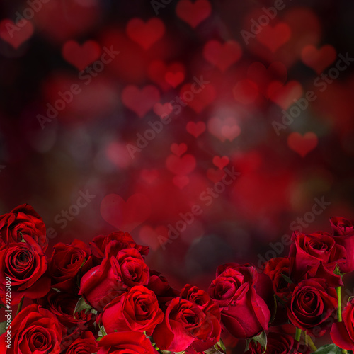 Red roses  Valentine background.
