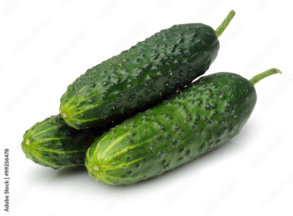 Prickly cucumbers Prickly cucumbers