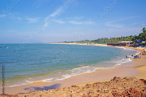 Beach on an ocean coast in India with palm trees