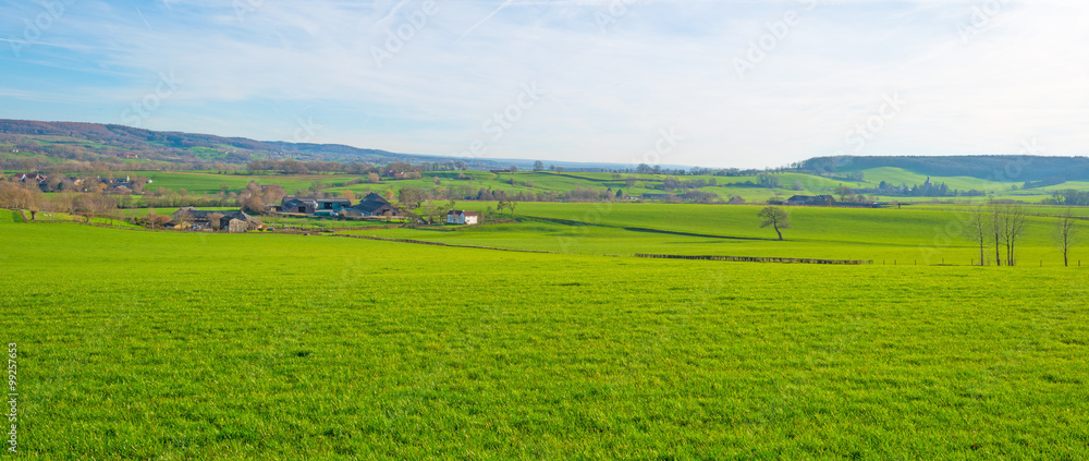 Panorama of a sunny green meadow on a hill 