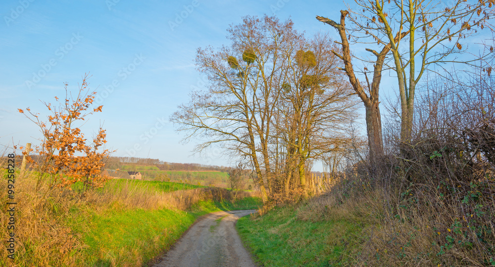 Path along a sunny meadow in winter Path along a sunny meadow in winter