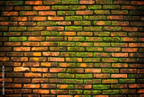 Old Wall brick with moss background