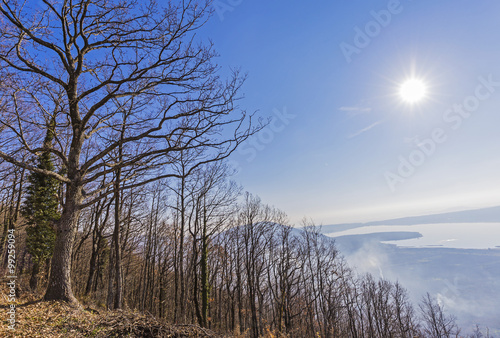 Woods Lake Vico in Italy