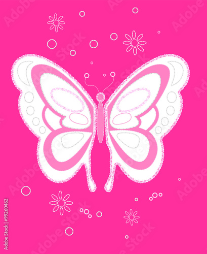 Sequin butterfly embroidery on pink background