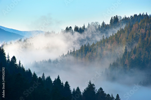 Beautiful Carpathian Mountains