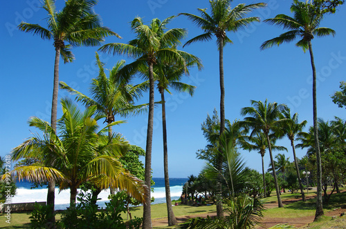 La Réunion - Vent dans les cocotiers de Grande Anse