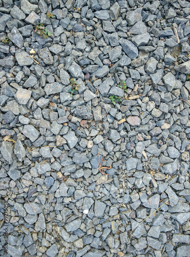 Wallpaper Mural pebble on th road Torontodigital.ca