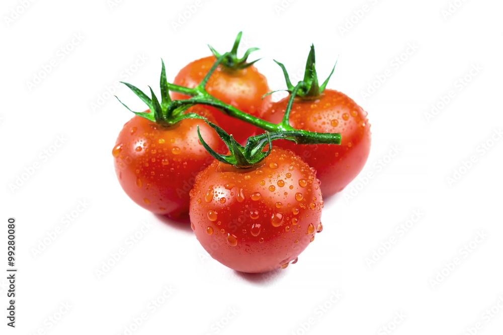 Four cherry tomato on vine isolated on white Four cherry tomato on vine isolated on white