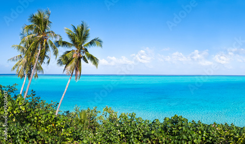 Südsee Paradies mit Palmen und türkisblauem Meer © eyetronic