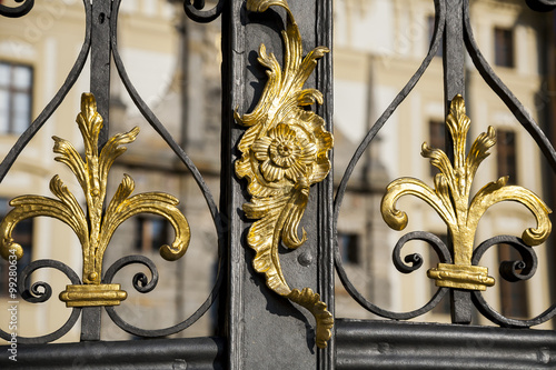 Old baroque metal gate, visible decorative feaves, finesse blacksmith work.
