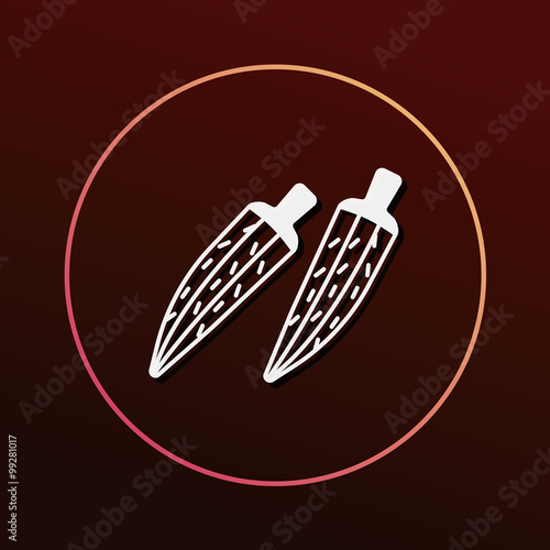 vegetables icon