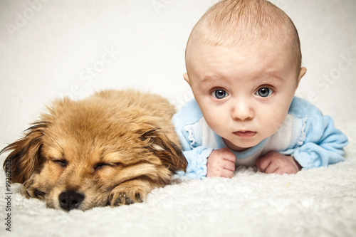 kleiner Hund mit Baby photo